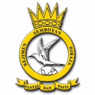 Royal Signal Regiment